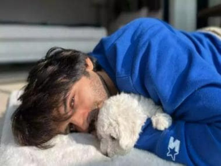 Kartik Aaryan reveals his fur ball Katori doesn’t let him leave for work, calls her 'Spoilt Kid'