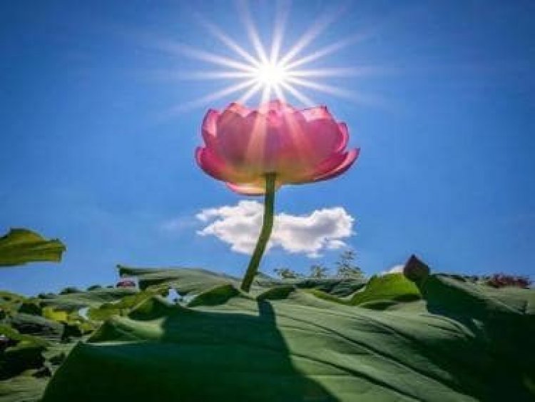 The Weather Report: Himalayas set to welcome winter soon; North, Central and West India experiencing pleasant days