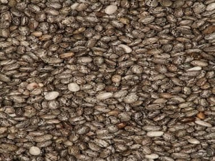 Are chia seeds good for health? 5 reasons why answer is yes