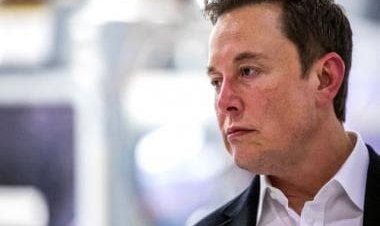 Explained: Elon Musk’s ‘pay for Twitter blue tick’ row