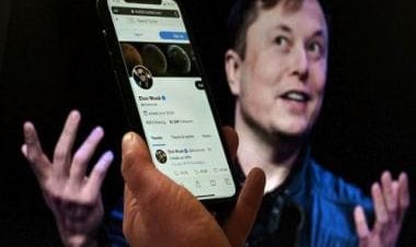Old Vine, New Twitter: What’s the short-form video app that Elon Musk wants to revive?