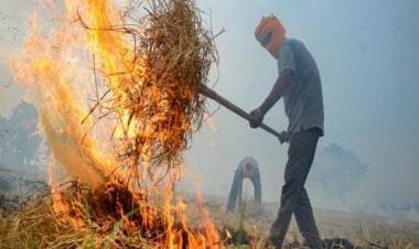 The Menace of Stubble Burning: Why Punjab is the bigger culprit than Haryana