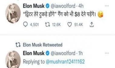 American-Australian prof’s handle displaying Musk’s name spooks Twitterati, sends out tweets in Hindi