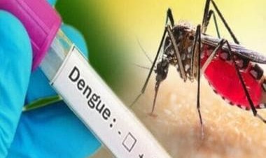 From Papaya to Pomegranates; what to eat and avoid while battling dengue fever
