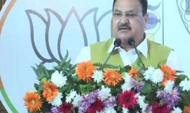 BJP releases manifesto for Himachal Pradesh Assembly polls: Check key takeaways here