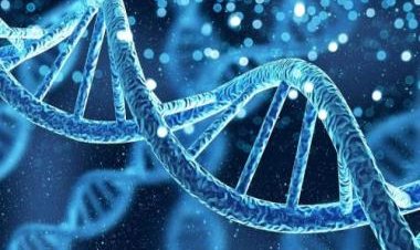 Genetic testing for cancer: Why it makes sense