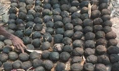 West Bengal: TMC minister gives public lesson on bomb making