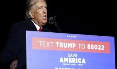 Explained: Donald Trump’s ‘very big announcement’ on 15 Nov and the chances of his comeback