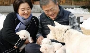 Doggie Troubles: The bizarre row in South Korea over canines gifted by North Korea’s Kim Jong-un
