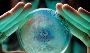 Here’s how mysterious last-resort antibiotics kill bacteria