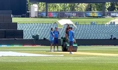 Watch: Rohit Sharma, Rahul Dravid assess Adelaide Oval pitch ahead of India vs England semis