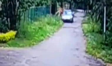 WATCH: Retired Intelligence Bureau officer run over by speeding car