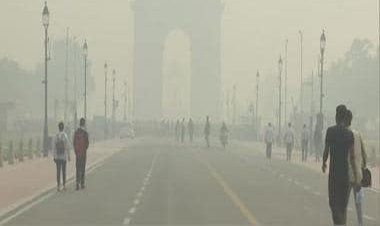 Foods that can protect you from harmful effects of air pollution