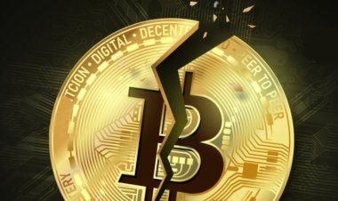 Crypto Crisis: Bitcoin Collapses By 17% and Sees No Hope