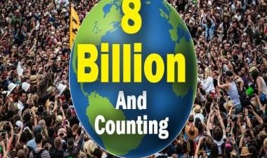 Eight billion and counting: World will take another 15 years to add next billion