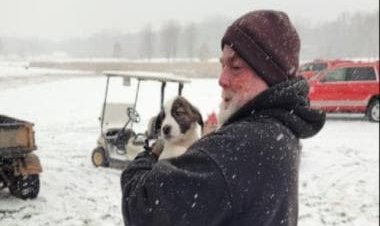 Airplane with over 56 rescue dogs onboard crashes on golf course