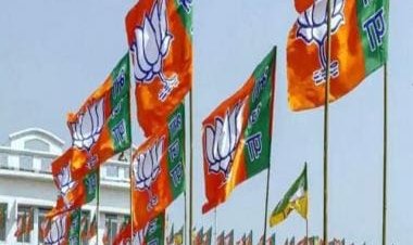 7-Time Lucky? With 30 Top Leaders Across 70 Locations in One Day, BJP Plans Blitzkrieg to Win Over Gujarat