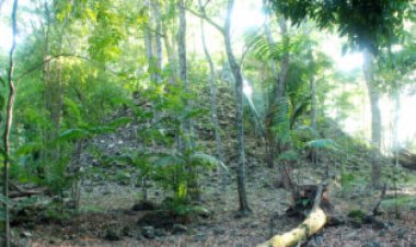 Some Maya rulers may have taken generations to attract subjects