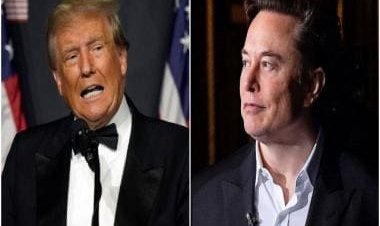 Another key Twitter executive leaves as Elon Musk restores former US President Donald Trump's account