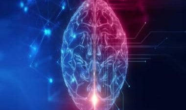 4 Best Natural Adderall Alternatives: Over The Counter (OTC) Adderall Substitutes in 2023