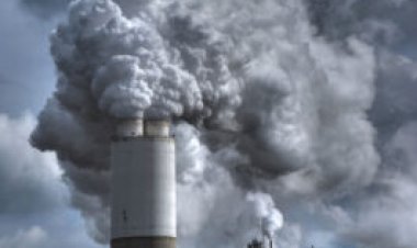 Pollution mucks up the lungs’ immune defenses over time