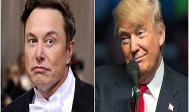 Donald Trump says he won’t return to Twitter after Elon Musk reinstates former US President’s account