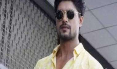 Ankit Gupta: How a former call-centre employee is now winning hearts in Bigg Boss 16!