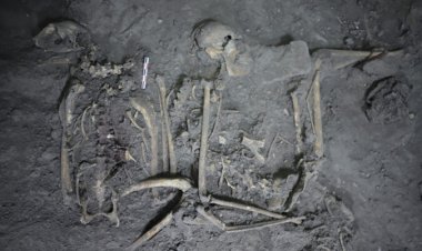 A spider monkey’s remains tell a story of ancient diplomacy in the Americas