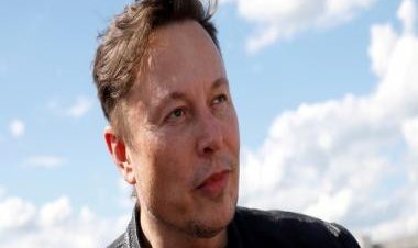 Elon Musk blames ‘political activists’ for lying about Twitter’s moderation council &amp; reinstating Donald Trump