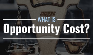 What Is Opportunity Cost in Finance? Definition, Formula & Importance