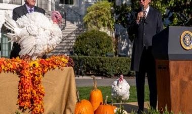 No Fowl Play: Why US presidents pardon turkeys on Thanksgiving