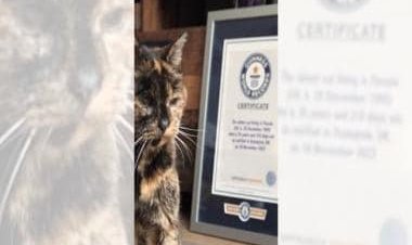 Guinness World Records declares 26-year-old Flossie as world's oldest cat; know more