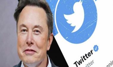 Gold tick for companies, blue for individuals: Musk &amp; Twitter finally crack how to tackle impersonations