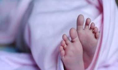 South Korea: Couple left dead baby in kimchi container for 3 years, Police say