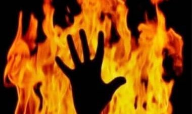 Tamil Nadu: Protesting 'Hindi imposition', 85-year-old farmer dies by self-immolation outside DMK office
