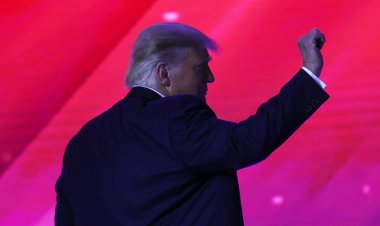 Elon Musk Announces His Choice for President