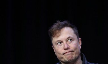 Elon Musk Has a Surprising Achilles Heel
