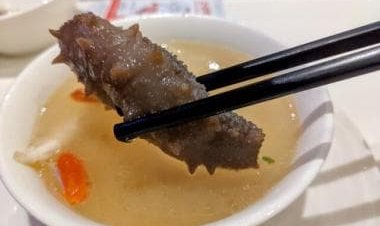 China to give free fuel to farmers, fishermen as its interest grows in performance boosting sea cucumbers