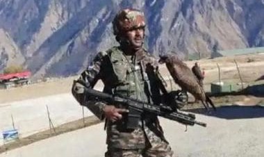 WATCH: Indian kite to bite Pakistan drones mid-air
