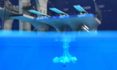 Physicists explain how to execute a nearly splashless dive