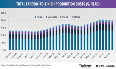 How Pork Producers Are Managing Risks Amid Rising Costs