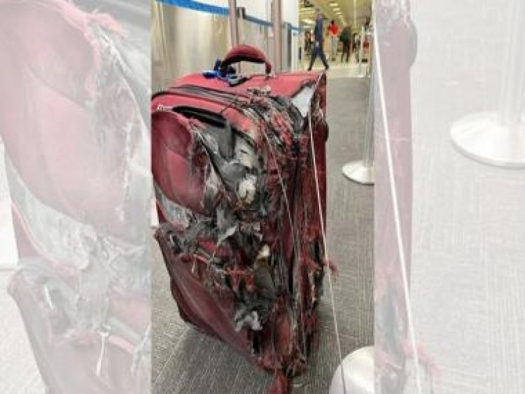 'Throwing it off would be in better shape': Photo of destroyed luggage after flight gets hilarious reactions