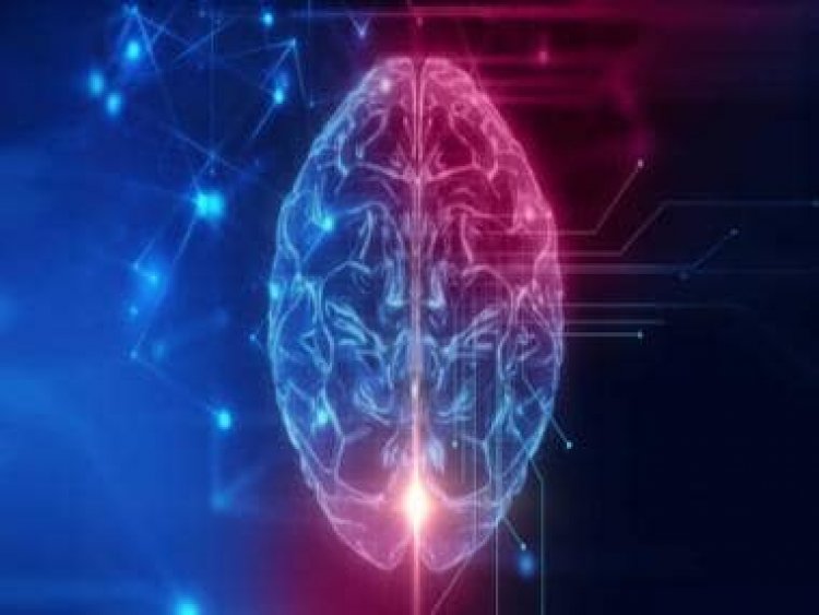 4 Best Natural Adderall Alternatives: Over The Counter (OTC) Adderall Substitutes in 2023