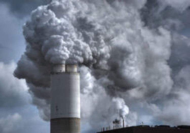 Pollution mucks up the lungs’ immune defenses over time