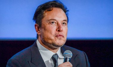 Elon Musk Says 6 Months to First Human Implant of Brain Interface