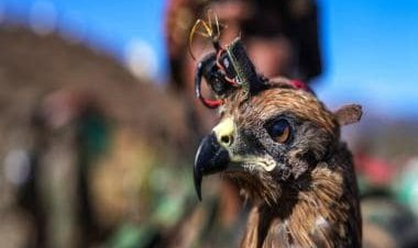 Beating China at their own game: Indian Army is using Chinese cameras to spy on Chinese drones