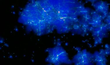 A new supercomputer simulation animates the evolution of the universe