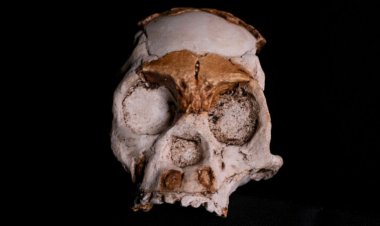 Homo naledi may have lit fires in underground caves at least 236,000 years ago