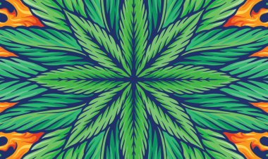 Stocks That May Benefit as Bong Wins Out Over Bottle