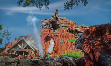 Disney Marks Big Step in Splash Mountain Remodel